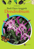 budidaya anggrek dendrobium