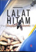 cinta diujung sajadah