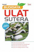 budidaya ulat sutera