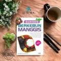 sukses berkebun manggis