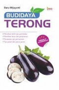 budidaya terong
