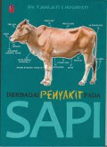 berbagai penyakit pada sapi