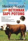 meraup rupiah dengan beternak sapi potong
