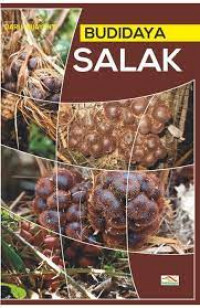 budidaya salak