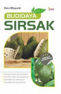 budidaya sirsak