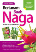 Bertanam Buah Naga : Mudah dan Cepat Berbuah