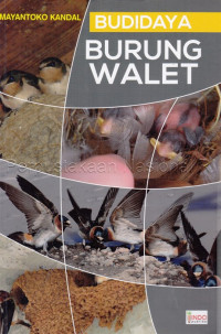 Budidaya Burung Walet