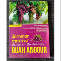 Jaminan Makmur Dengan Budidaya Buah Anggur