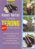 Kupas tuntas Budidaya Terong dan Perhiyungan Bisnis