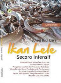 Sukses Budi Daya Ikan Lele Secara Intensif