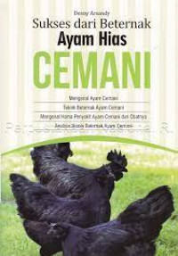 Sukses dari Beternak Ayam Hias Cemani