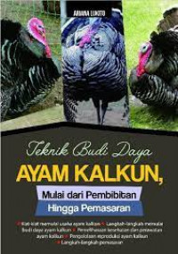 Teknik Budidaya Ayam Kalkun,Mulai Dari Pembibitan Hingga Pemasaran