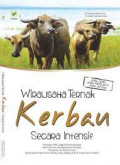 Wira Usaha Ternak Kerbau Secara intensif