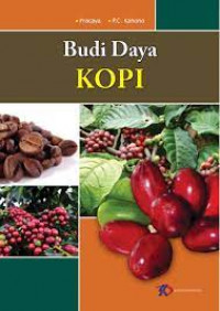 budi daya kopi