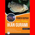 panen rupiah dengan budidaya ikan gurami