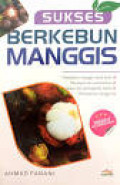 sukses berkebun mangis