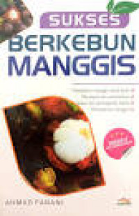 sukses berkebun mangis