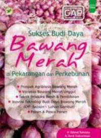 sukses budidaya bawang merah