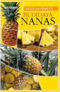 panduan prakktis budidaya nanas