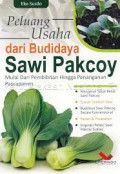 peluang dari budi daya sawi pakcoy