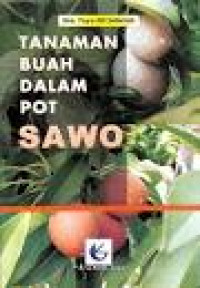 tanaman buah dalam pot sawo