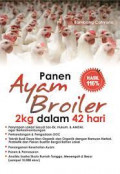 panen ayam broiler 2 kg dalam 42 hari