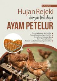 hujan rejeki dengan budidaya ayam petelur