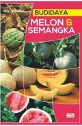 budi daya melon da semangka