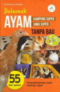 Beternak Ayam Kamping Supaer,Ayam Jawa Super Tanpa Bau
