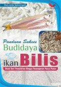 Panduan Sukses budidaya Ikan Bilis