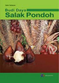budi daya salak pondoh