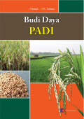 Budi Daya Padi
