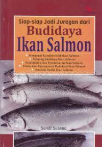 budi daya ikan salmon