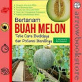 bertanam buah melon