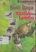 budi daya kodok lembu