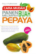 cara mudah panen melimpah buah pepaya