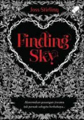 Finding Sky