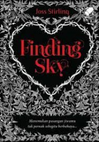 Finding Sky