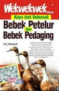 kaya dari beternak bebek petelur dan bebek pedaging