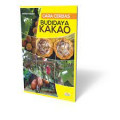 Cara cerdas budidaya Kakao
