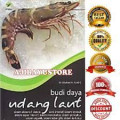 BUDI DAYA udang laut