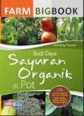 BUdidaya sayuran organik di pot