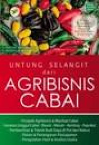 UNTUNG selangit dari agribsnis cabai
