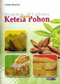 aneka olahan dari ketela pohon