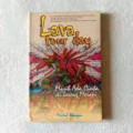 Lava Tour Day