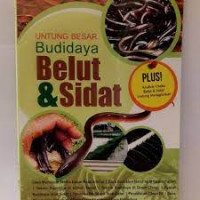 untung besar budidaya belut dan sidat