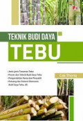 TEKNIK BUDI DAYA TEBU